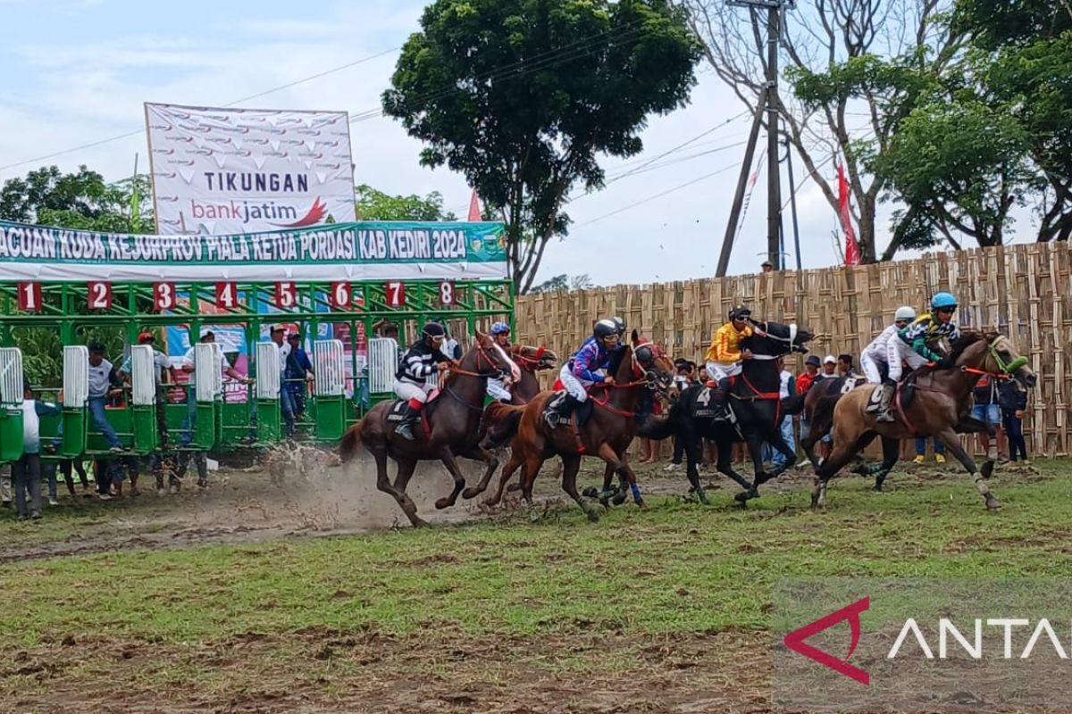 Pordasi Jatim gelar lomba pacuan kuda guna siapkan Porprov di Malang