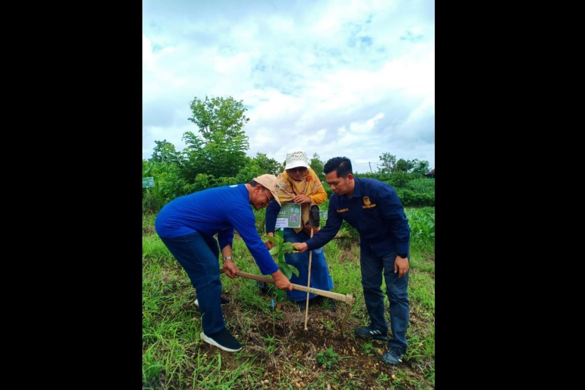 IKA Unair selenggarakan penghijauan di Geosite Tenggar Tulungagung