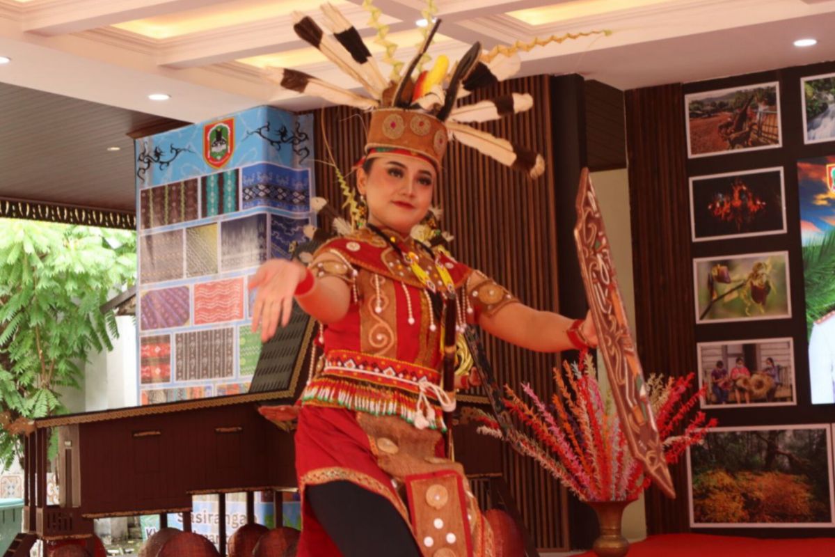 Kalsel promosikan seni budaya lokal di TMII