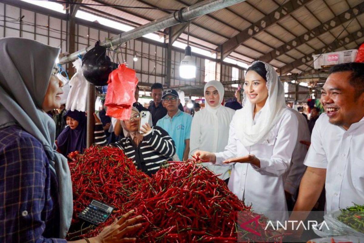 Wakil Menteri Perdagangan pastikan harga bahan pokok stabil di Jambi