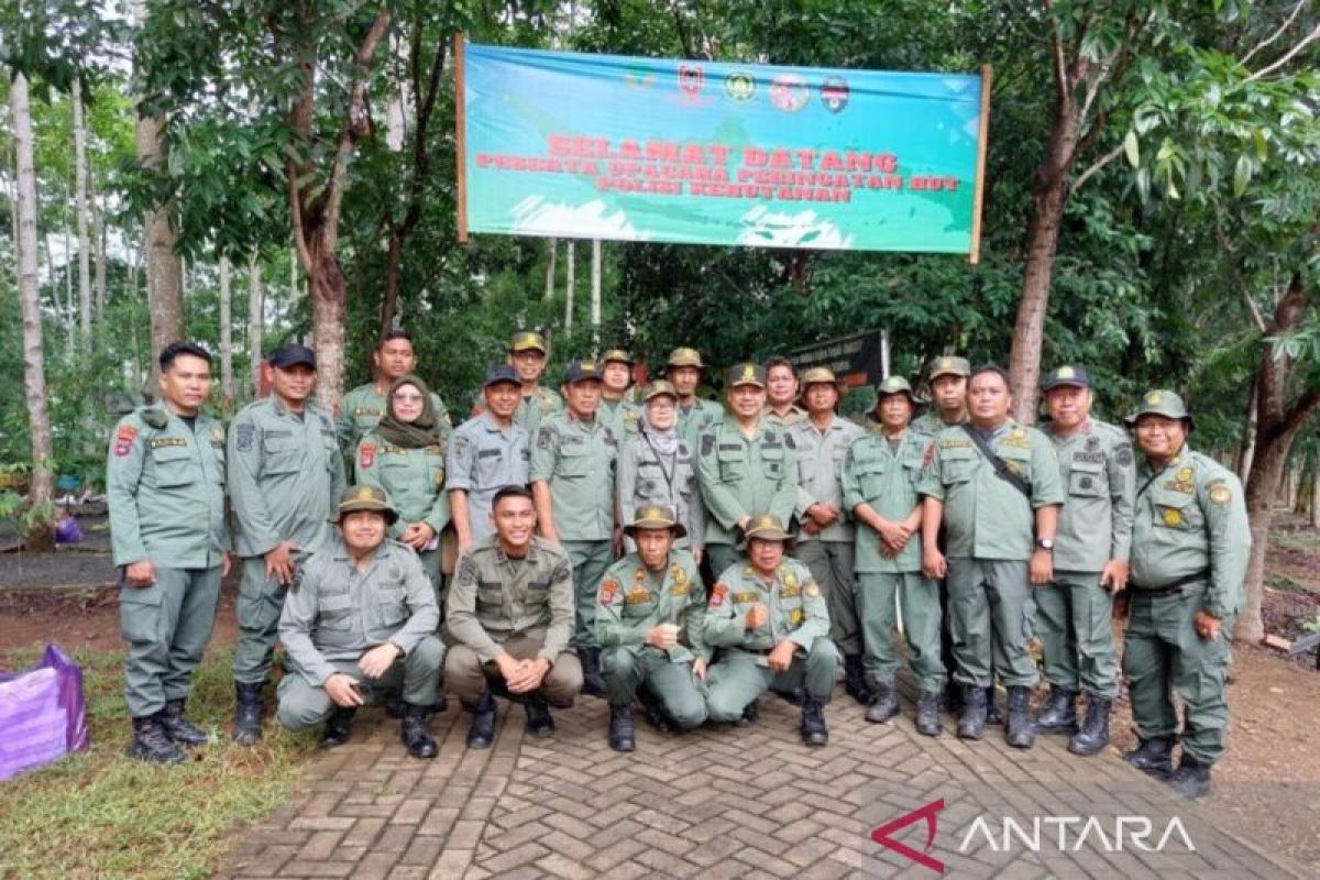 Jumlah polisi kehutanan di Kalsel sangat kurang