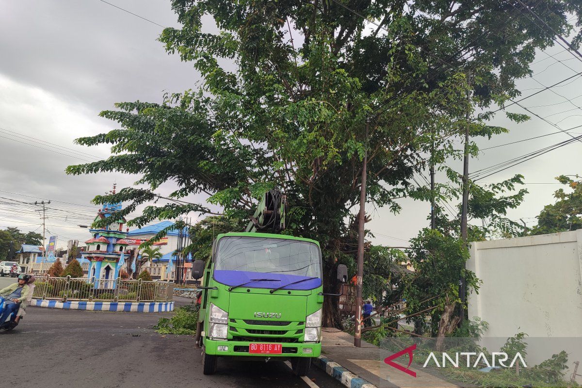 DLH Bengkulu pangkas pohon antisipasi cuaca buruk