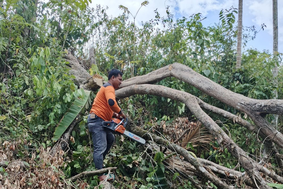 BPBD OKU Selatan  tetapkan status siaga darurat banjir dan longsor