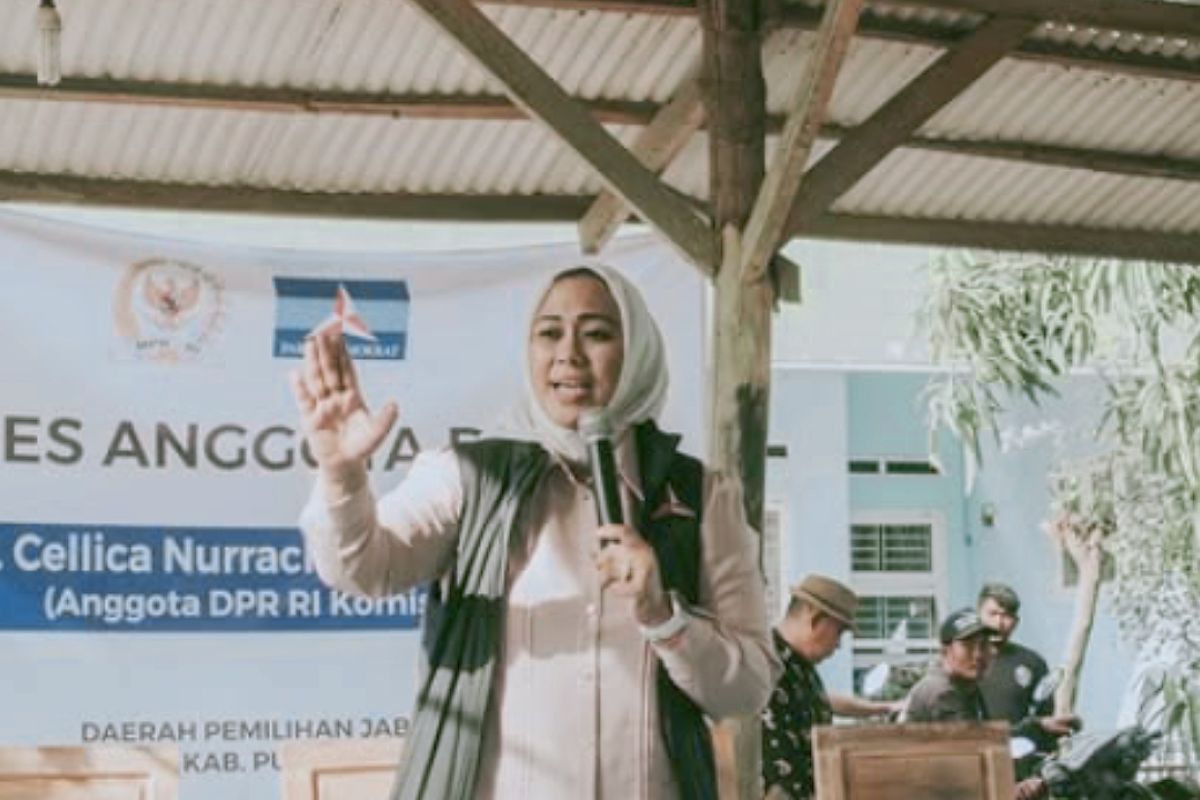 Anggota DPR RI: Kenaikan PPN tidak boleh menyentuh UMKM