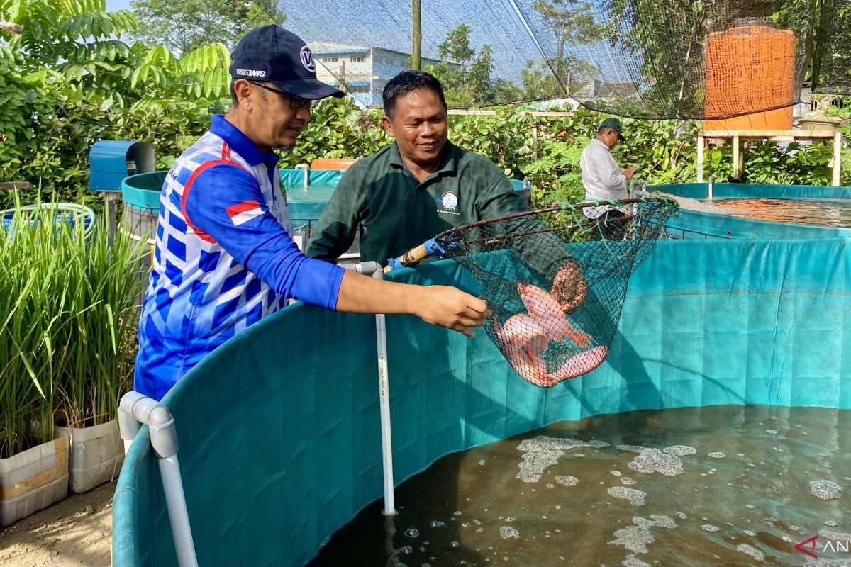 Diskan Batam dorong pokdakan balik modal dari hasil panen