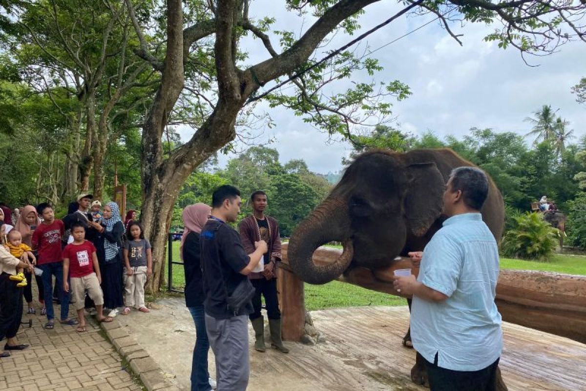 Taman Wisata Lembah hijau jadi tempat cocok habiskan libur Natal-Tahun Baru