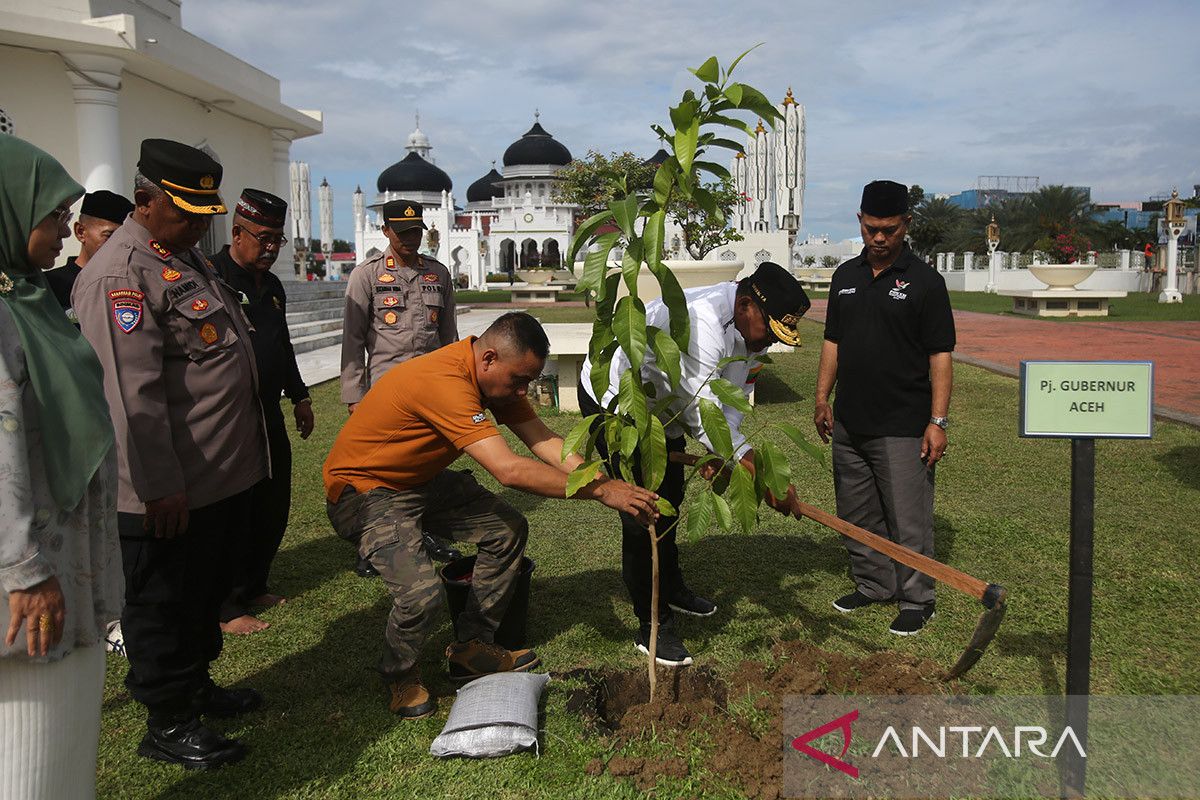 FOTO - Program tanam hijaukan Aceh sambut 20 tahun tsunami