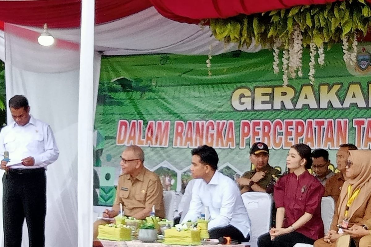 Wakil Presiden Gibran tanam padi di Langkat