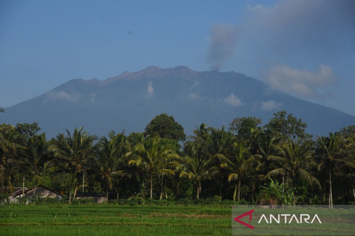 Gunung Raung erupsi, aktivitas Bandara Banyuwangi normal