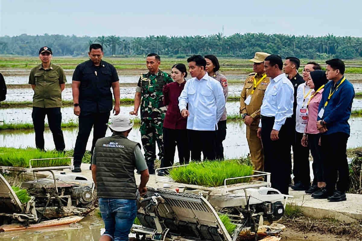 Mentan Andi Amran sebut tak temui lagi keluhan distribusi pupuk pertanian