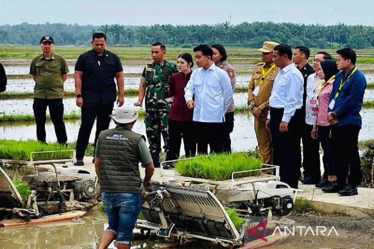 Mentan sebut tak temui lagi keluhan distribusi pupuk pertanian