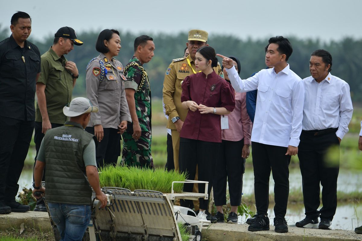 Indonesian VP inspects rice planting machines in Langkat paddy fields