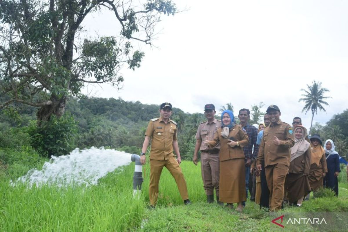 Pertanian di Sawahlunto diperkuat teknologi irigasi perpipaan