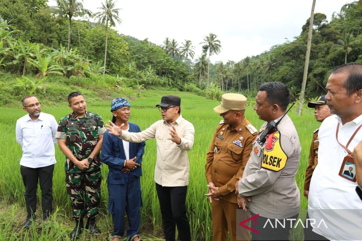 Bima Arya tinjau kondisi irigasi Subang untuk tingkatkan hasil panen