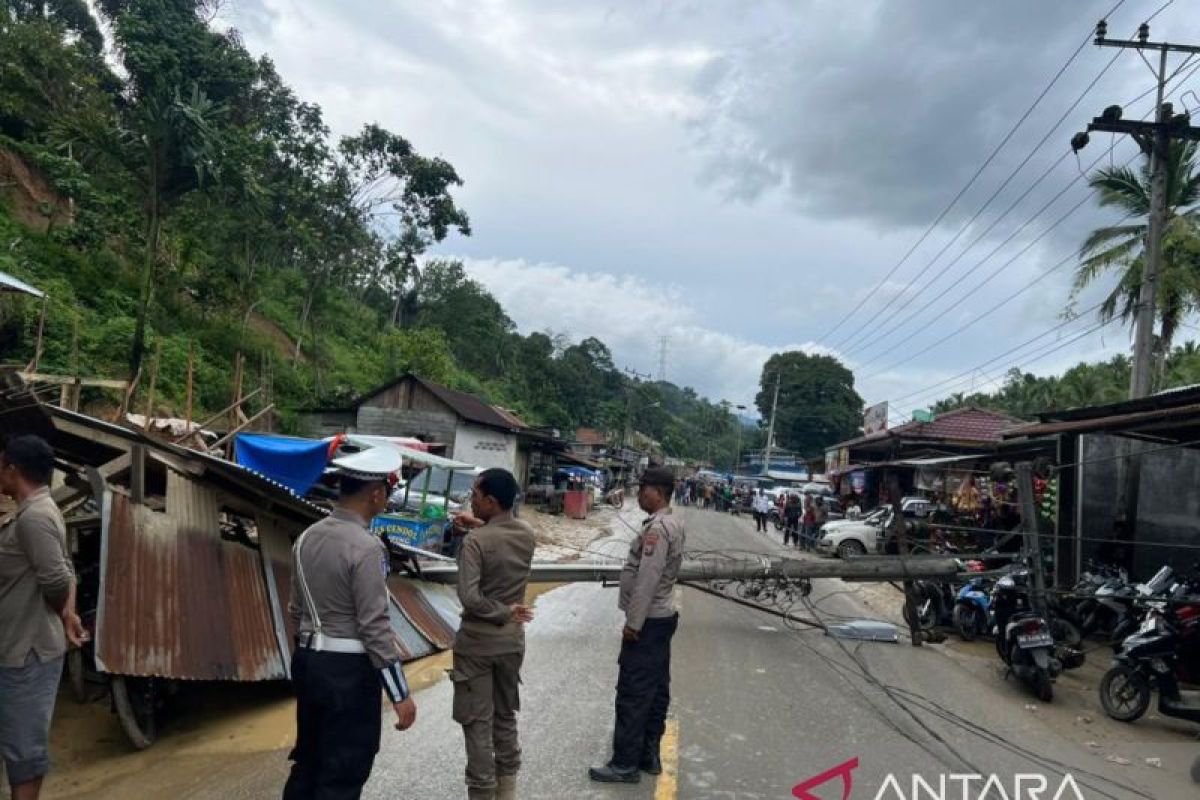 Tiang listrik di Tapsel tumbang, lampu PLN padam lalu lintas terganggu