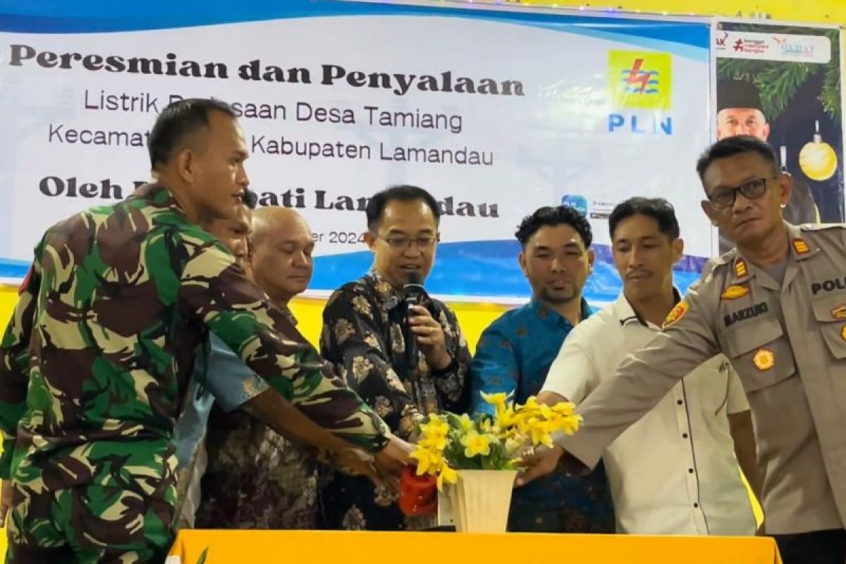 116 rumah tangga di Desa Tamiang teraliri listrik