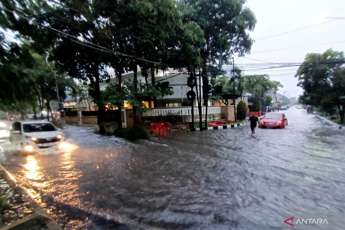 Hujan disertai angin sebabkan genangan dan pohon tumbang di Surabaya