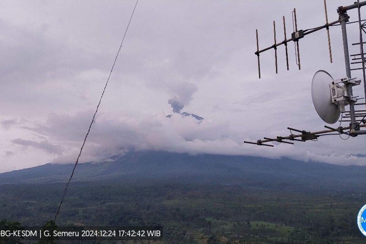 Gunung Semeru erupsi dengan tinggi letusan 800 meter