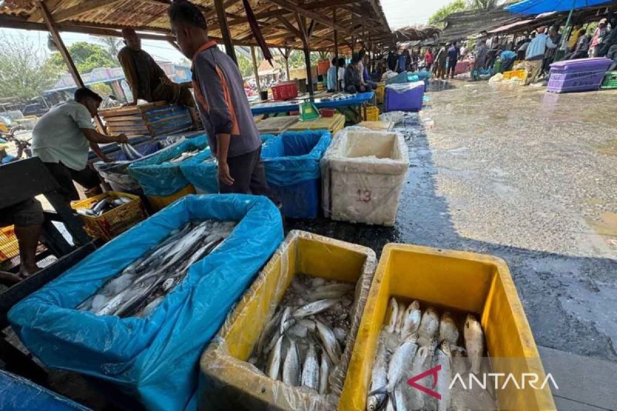 Produksi ikan tangkapan di Aceh Timur capai 9.408 ton pada 2024