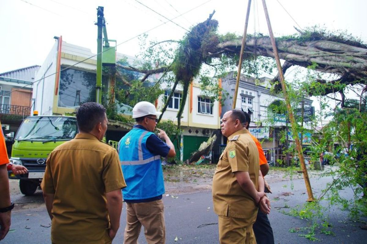 Pohon Tumbang hantam ruko di Muba