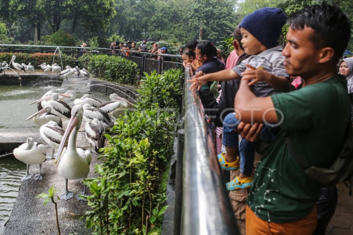 Pengunjung Ragunan naik dua kali lipat pada hari ini