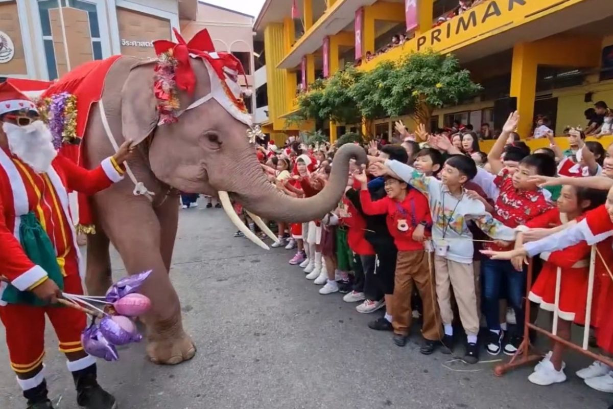 Thailand rayakan Natal dengan parade gajah dan bintang tradisional