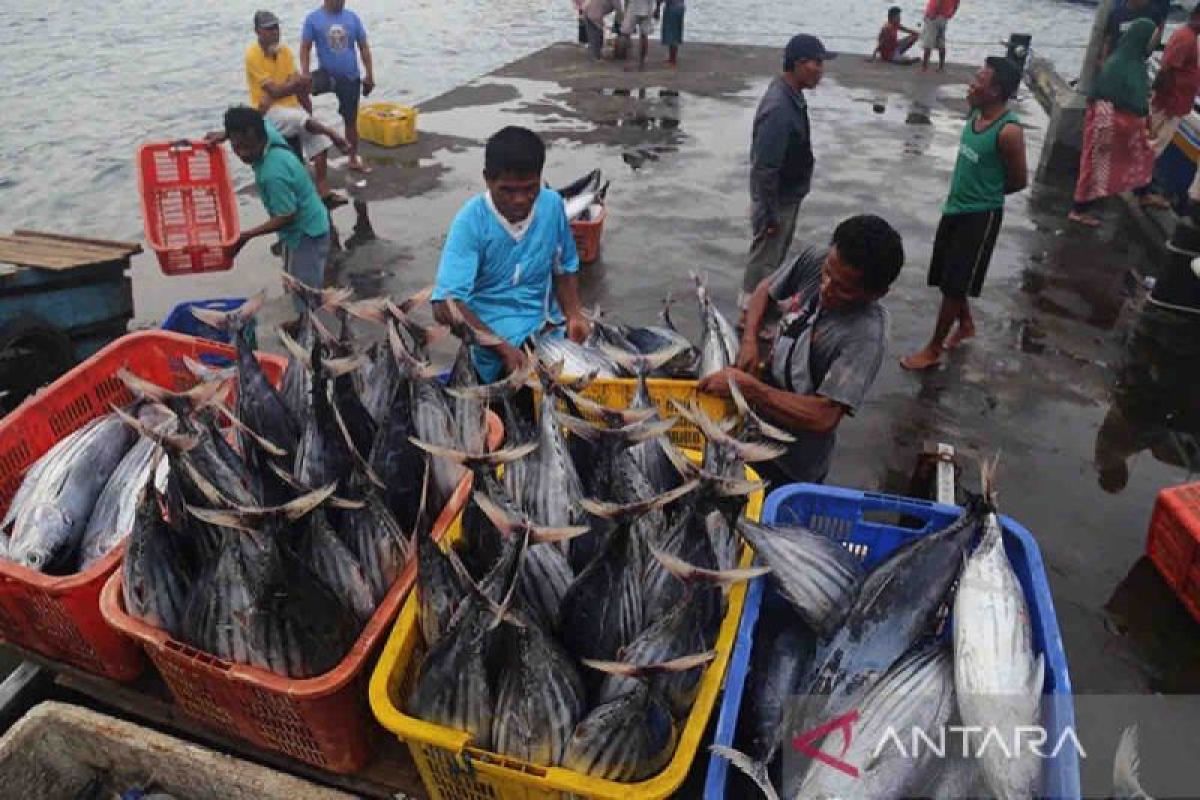 KKP telah salurkan bantuan sektor perikanan tangkap capai Rp104,8 miliar