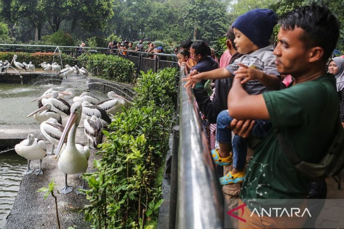 Jumlah pengunjung Ragunan naik dua kali lipat pada hari libur Natal