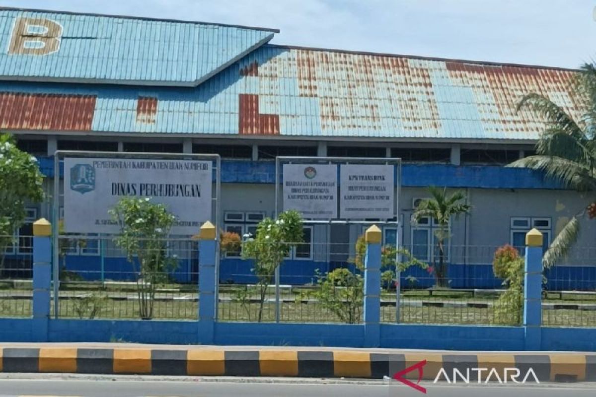 Layanan bebas trayek angkutan umum Natal Biak hanya situasional