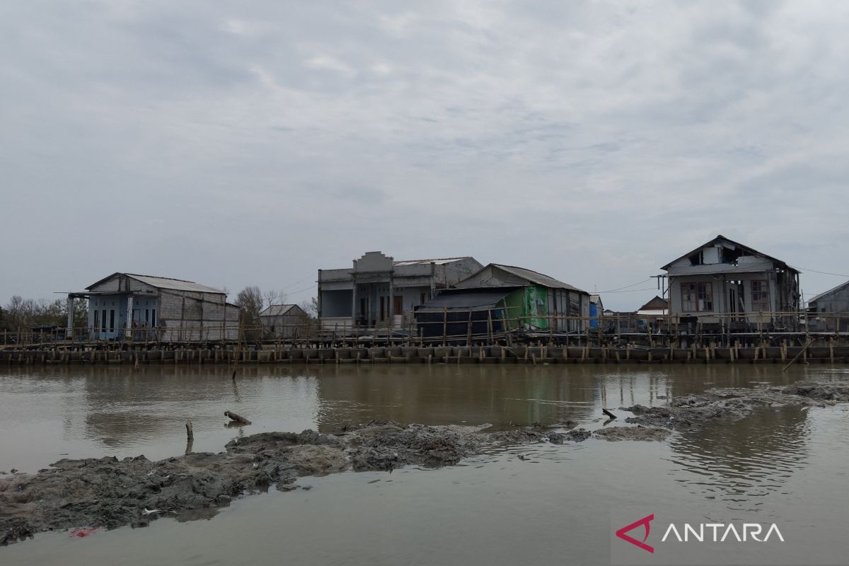 Menteri LH sebut  pemecah ombak bis beton bisa diaplikasikan cegah abrasi di Demak