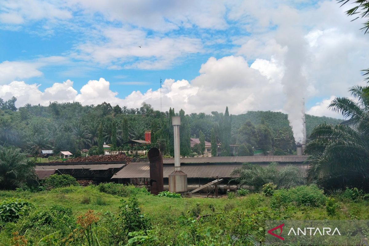 Sebagian pabrik sawit Mukomuko tetap buka saat Natal 2024