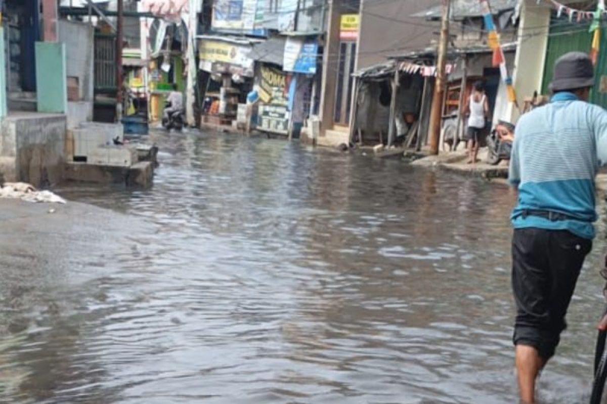 Satu RT di Pluit Jakarta Utara kembali terendam banjir rob pada Kamis