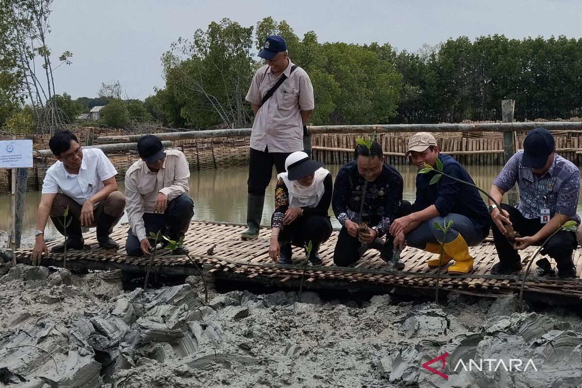 Kementerian LH targetkan bangun areal tanaman mangrove seluas 700-800 Ha di Demak