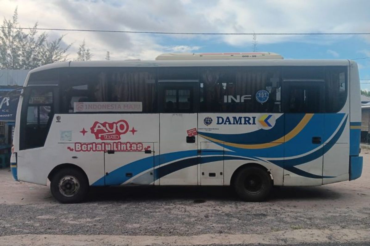 DAMRI Tambah Frekuensi Perjalanan Rute Sampit ke Ujung Pandaran, Ini Jadwalnya!