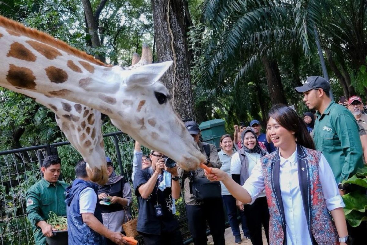 Wakil Menteri Pariwisata Luh Puspa tinjau fasilitas Taman Margasatwa Ragunan