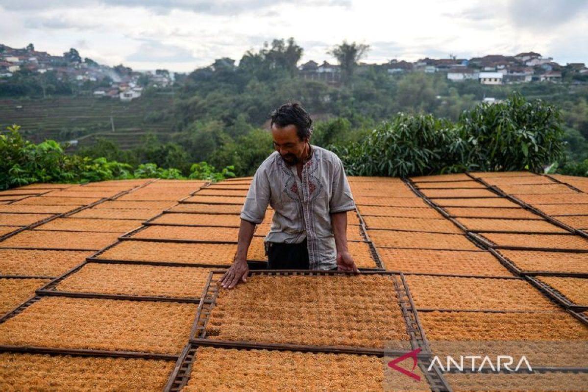 Peneliti: Kenaikan cukai tak efektif jaga keseimbangan IHT