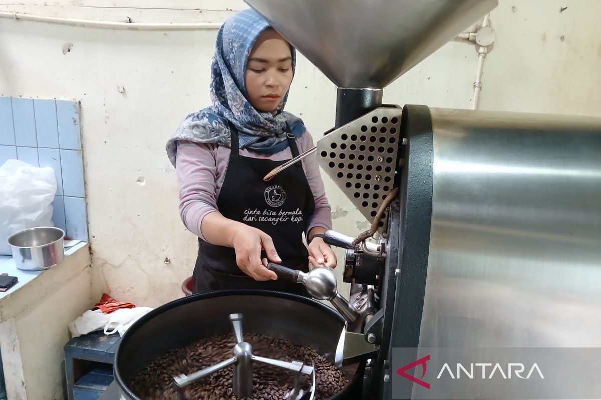 Saat petani Temanggung nikmati lonjakan harga kopi