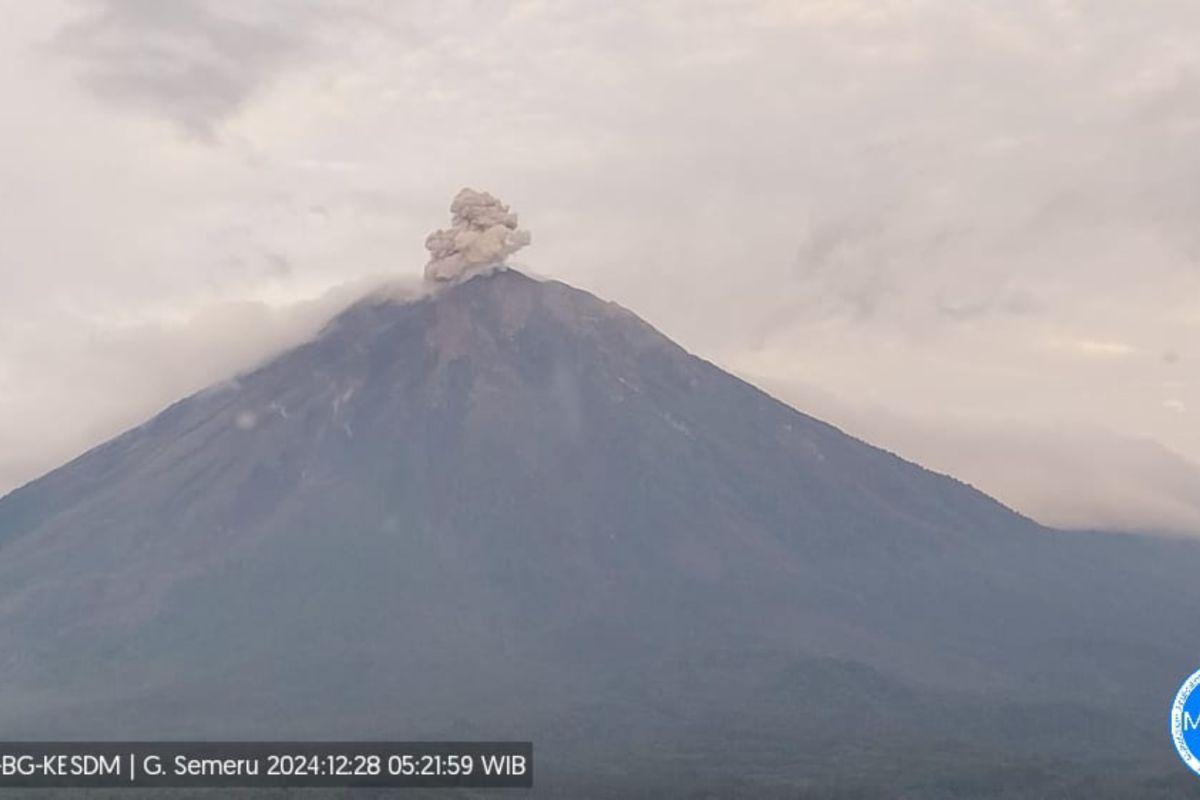 Semeru erupsi beberapa kali, tinggi letusan hingga 700 meter