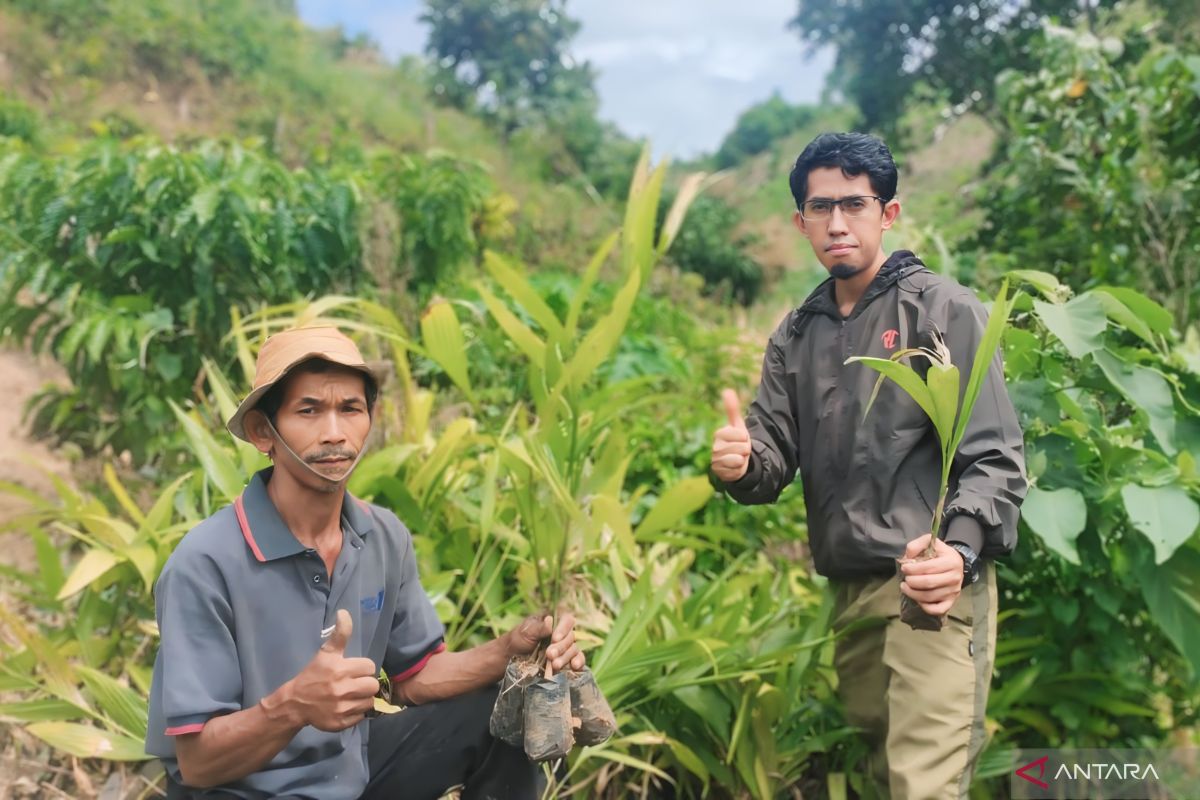 Jejak Bumi Indonesia OKU kampanyekan gerakan menanam pohon di lahan kritis cegah banjir