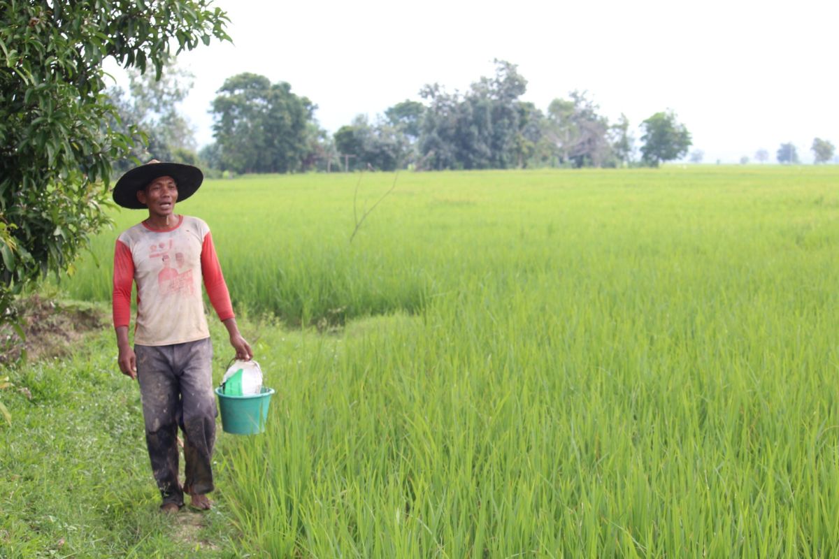 Lampung usulkan penambahan daerah irigasi baru 3.225 hektare