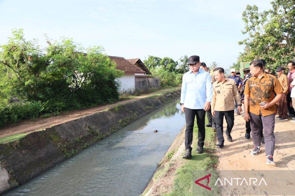 Wamendagri: Irigasi penuhi kebutuhan pangan nasional