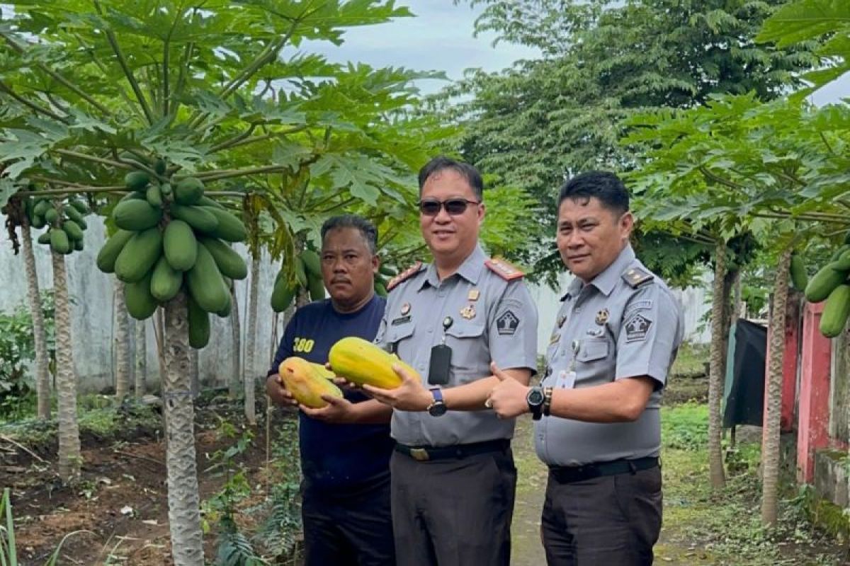 Lapas Curup manfaatkan pekarangan untuk program ketahanan pangan