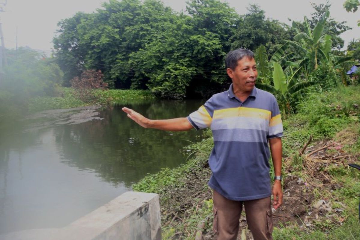 Langganan banjir, Warga Gunung Anyar Surabaya minta BBWS brantas plengseng sungai avur