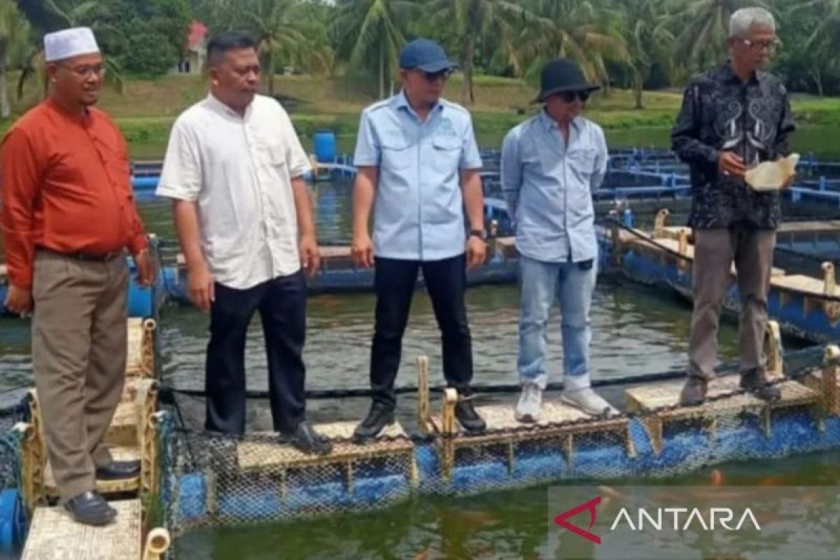 Dinas Pertanian Solok dorong Pokdakan perkuat ketahanan pangan