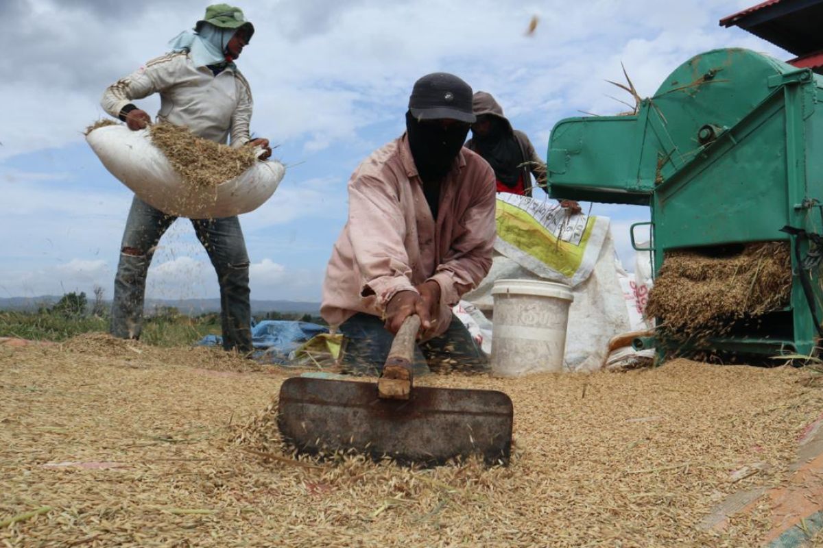 Sejahterakan petani, Mualem-Dek Fadh janji jaga stabilitas harga pasar