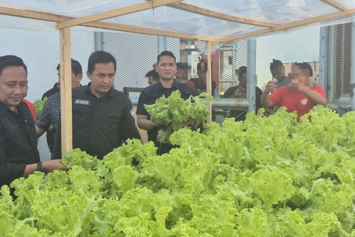 Rutan-Palu bekali keterampilan pertanian bagi warga binaan