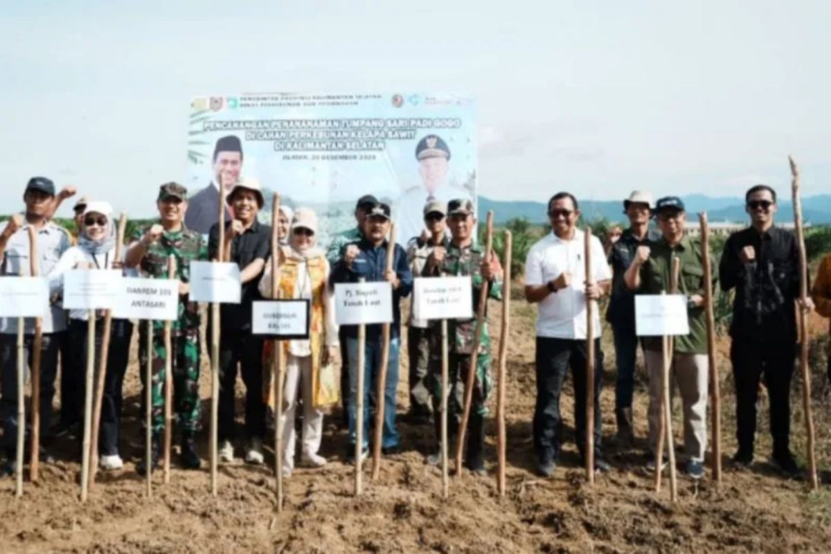 Kalsel kemarin dari padi Gogo hingga layanan kelistrikan