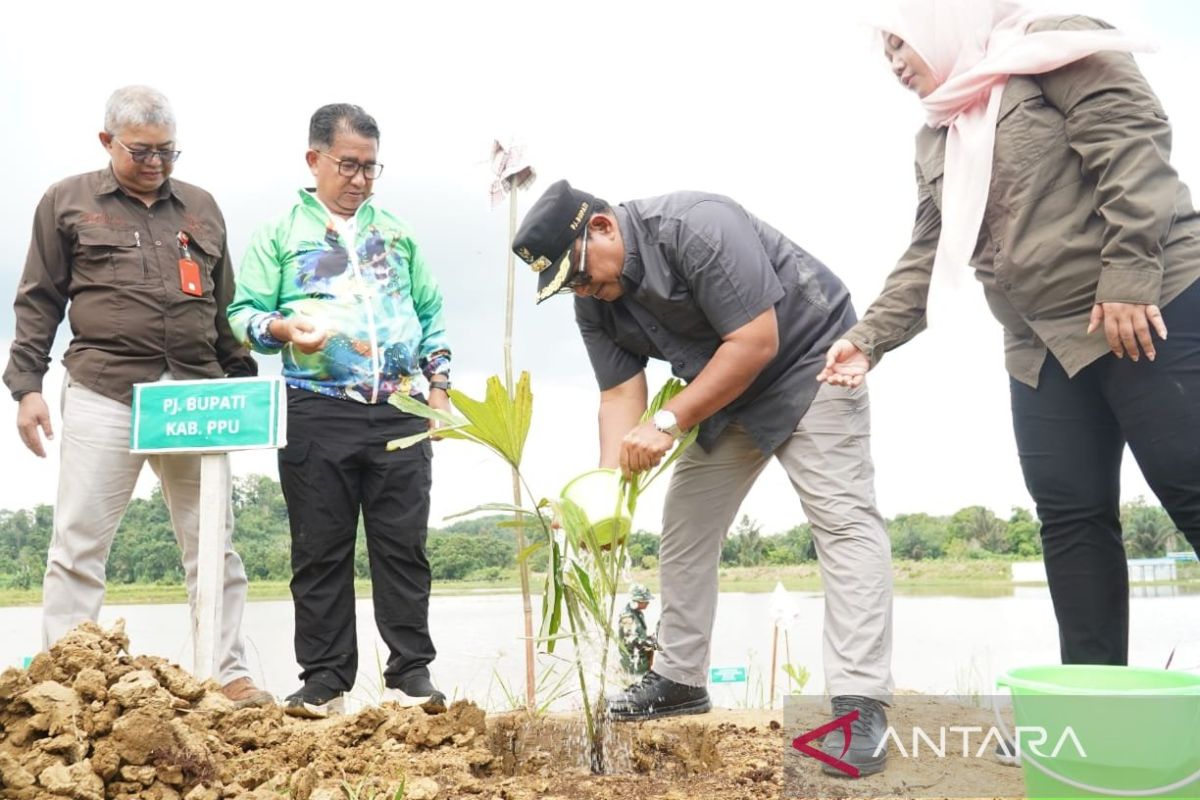 Ratusan bibit pohon ditanam di  Bendungan Penajam jaga cadangan air