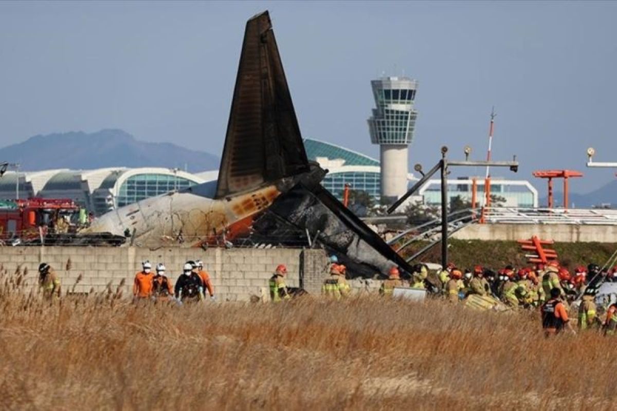 Korban jiwa kecelakaan pesawat Jeju Air bertambah