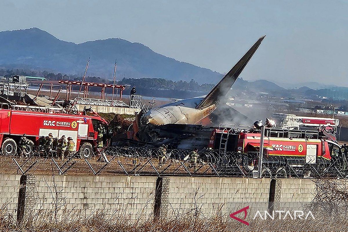 Saksi mata dengar ledakan sebelum pesawat Jeju Air jatuh